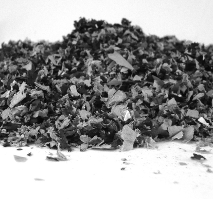 reg_000000_imatge1_170405_190729